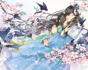 亚洲砖码砖2022
